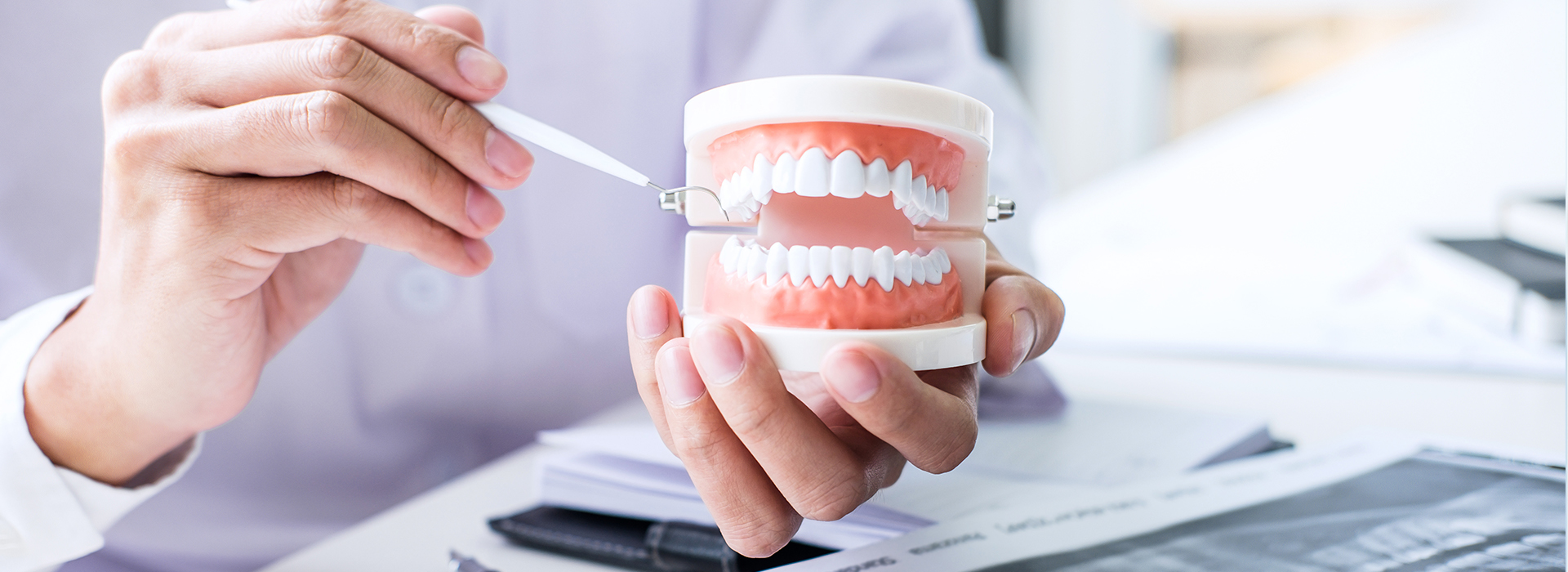 A person holding a cup of toothpaste, with a toothbrush inside and a dental model in the background.