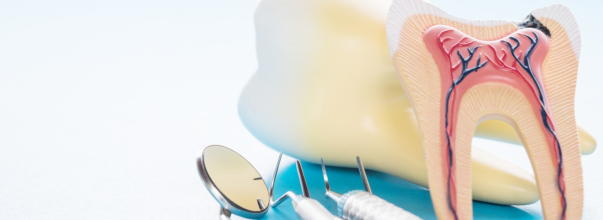 The image shows a close-up of dental tools, including a toothbrush and what appears to be a dental model or device with anatomical features such as teeth and gums.